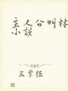 主人公叫林晚的小说