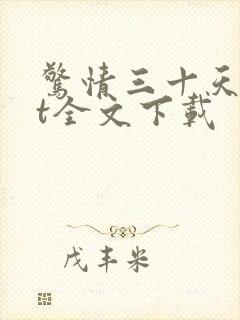 惊情三十天txt全文下载