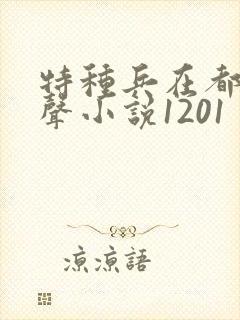 特种兵在都市有声小说1201