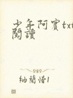 少年阿宾txt阅读