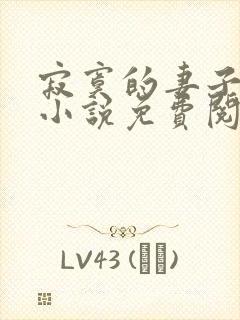 寂寞的妻子白琳小说免费阅读全文