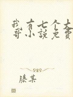 我有七个大佬哥哥小说免费下载封面