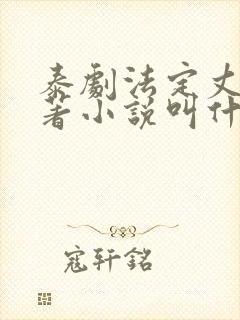 泰剧法定丈夫原著小说叫什么