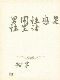 男同性恋是怎么性生活