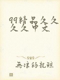 99精品久久久久久中文