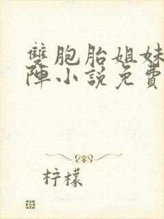 双胞胎姐妹齐上阵小说免费封面