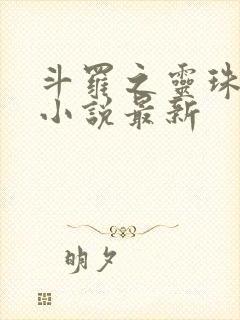 斗罗之灵珠神剑小说最新封面