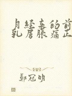 月经来的前几天乳房胀痛正常吗