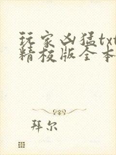 玩家凶猛txt精校版全本下载