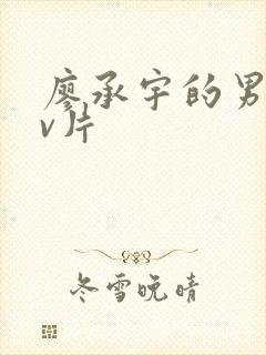 廖承宇的男男gv片