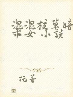 混混校草暗恋乖乖女 小说