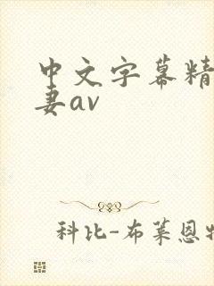 中文字幕精品人妻av