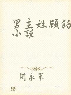 男主姓顾的总裁小说