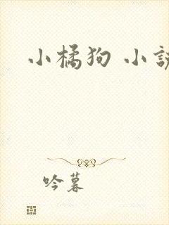 小橘狗 小说