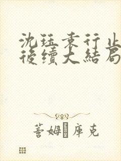 沈珏袁行止小说后续大结局