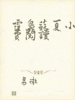 霍枭苏夏小说免费阅读