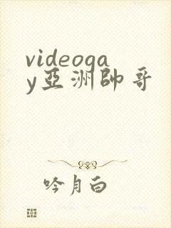 videogay亚洲帅哥