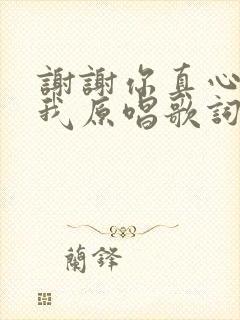 谢谢你真心陪着我原唱歌词封面