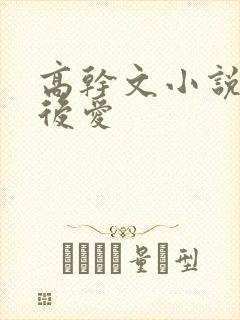 高干文小说先婚后爱