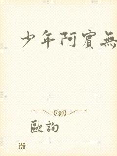 少年阿宾无弹窗封面