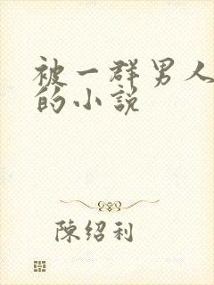 被一群男人调教的小说封面