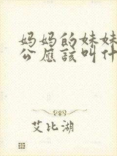 妈妈的妹妹的老公应该叫什么封面