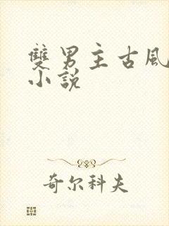 双男主古风穿越小说封面