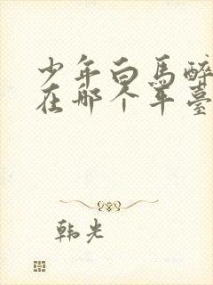 少年白马醉春风在哪个平台播出封面