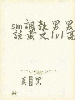 sm调教男男小说黄文1v1高h强制