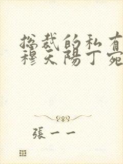 总裁的私有宝贝穆天阳丁宛情