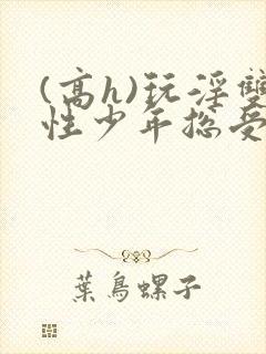 (高h)玩淫双性少年总受