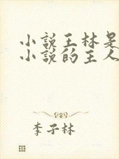 小说王林是哪本小说的主人公