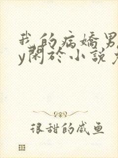 我的病娇男友by闲于小说免费阅读