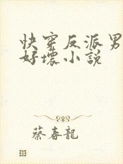 快穿反派男主你好坏小说封面