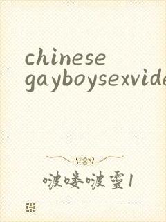 chinesegayboysexvideo
