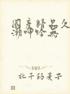 国产精品久久高潮呻吟无