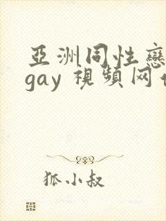亚洲同性恋男 gay 视频网站