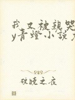 我又被亲哭了by青灯小说免费阅读笔趣