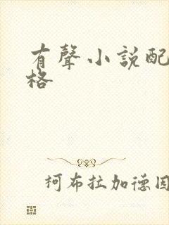 有声小说配音价格封面