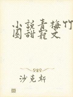 小说青梅竹马校园甜宠文