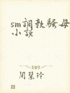 sm调教骚母狗小说封面