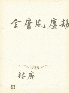 金庸风尘劫