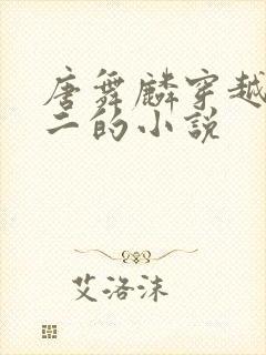 唐舞麟穿越到斗二的小说