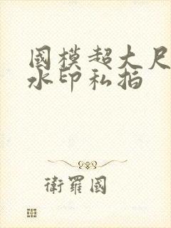 国模超大尺度无水印私拍