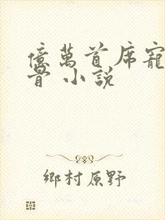 亿万首席宠妻入骨 小说