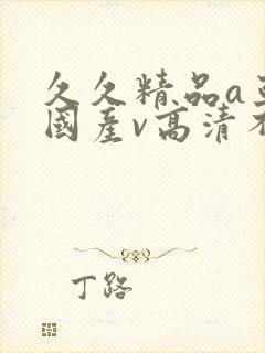 久久精品a亚洲国产v高清不卡|封面