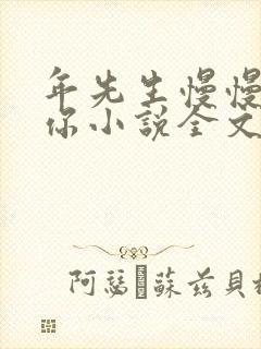 年先生慢慢喜欢你小说全文免费阅读