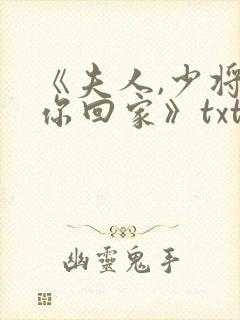 《夫人,少将请你回家》txt封面