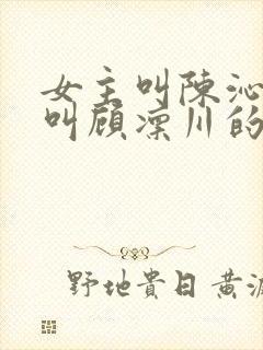 女主叫陈沁男主叫顾凛川的小说