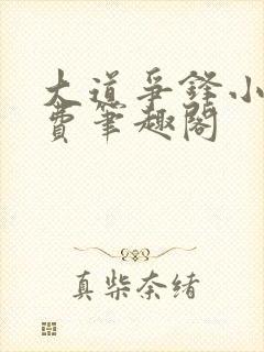 大道争锋小说免费笔趣阁